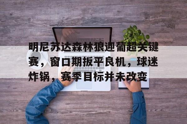 开云娱乐-明尼苏达森林狼迎葡超关键赛，窗口期扳平良机，球迷炸锅，赛季目标并未改变的简单介绍